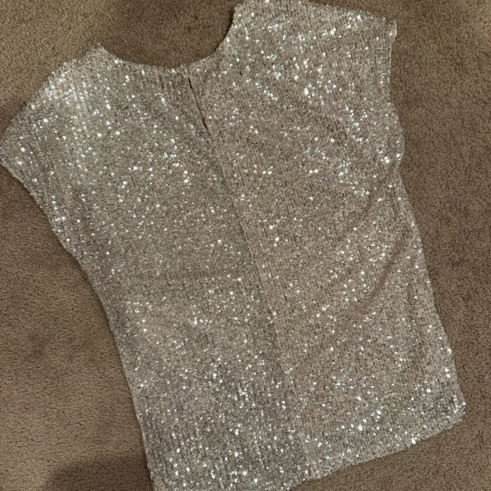 Rachel Zoe Sparkling Silver Sequin Blouse